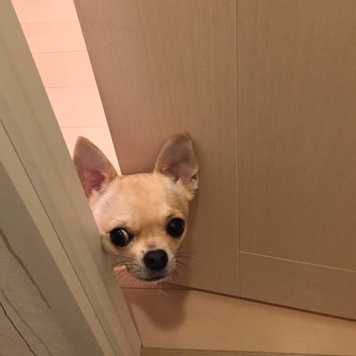 664e597f fa2d 4edc a397 cb294644ddc9