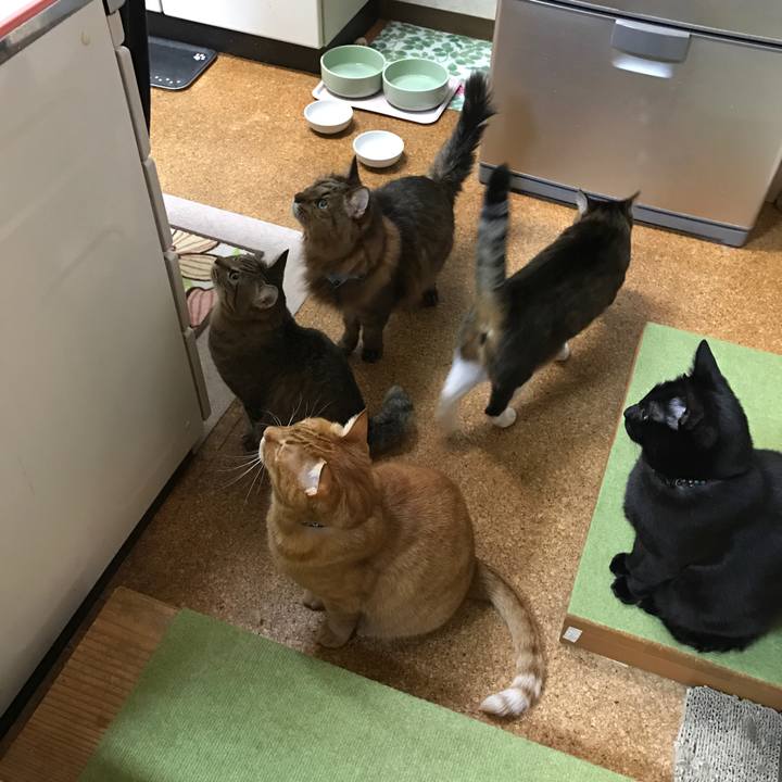 664e5d66 1864 4438 a5a2 74ada7435ca4