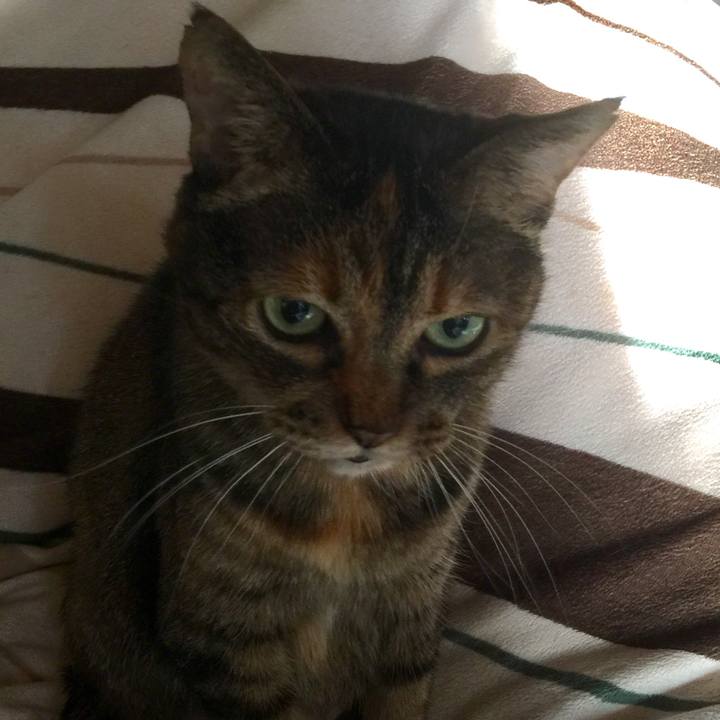 664e8fba d804 48ae aaea 6a52790e0dc1