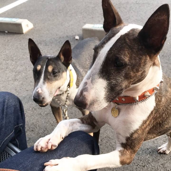 664ed50c 9bb1 4816 a53a 2e18cb56f8a9