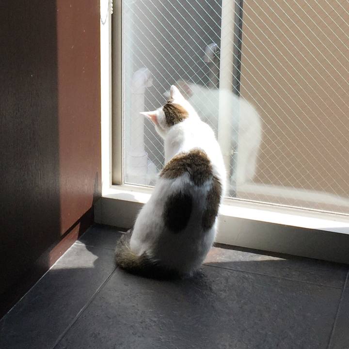 664fc465 12ec 4ef0 bab4 32290dd070d0