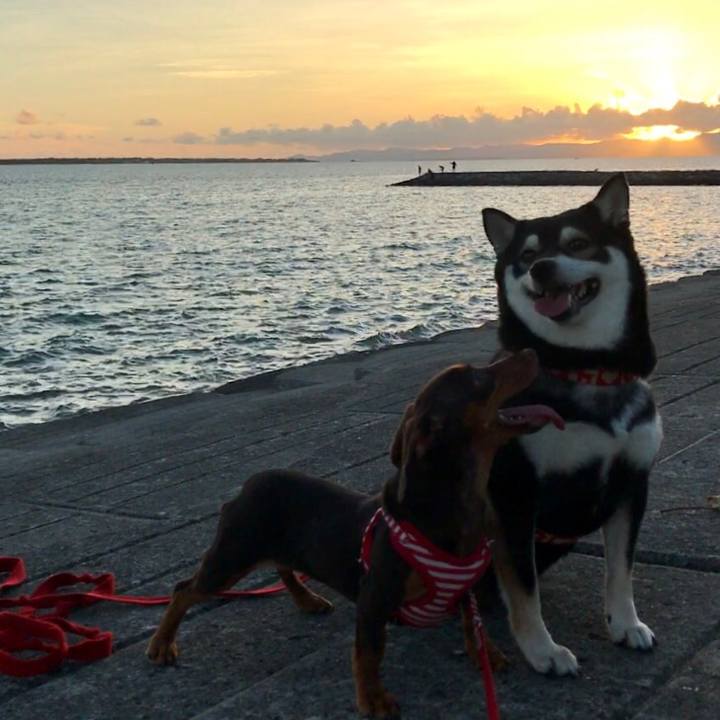 6650b2cb 0156 4950 b79d 8d6748ffd75c