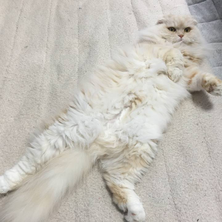 6650bf06 194a 49f7 b14d 6c74958b24e5