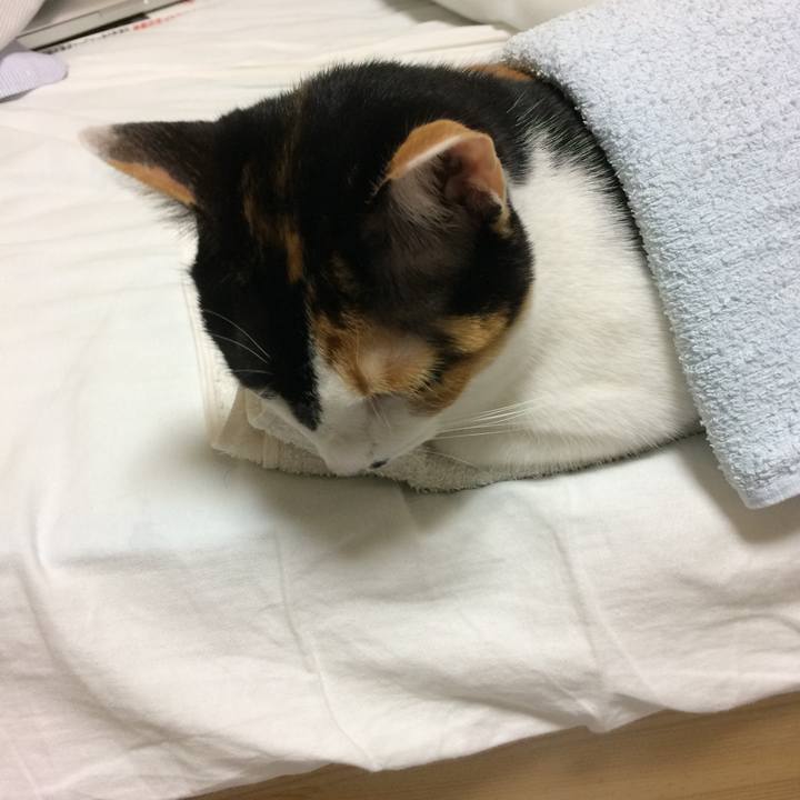 665190dd 4424 45e5 8a5f 9c92d7976485