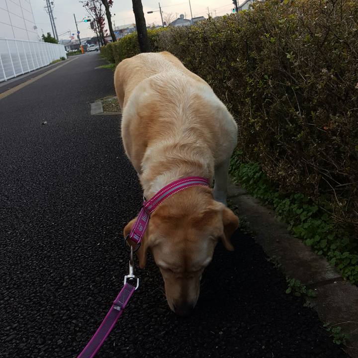 6651c9fd 81a4 4017 a7cd 414e24f3e0c6