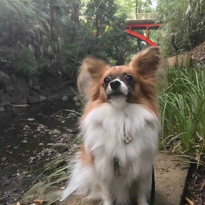 6651ed82 458b 4397 a6f8 c34d1221a68e