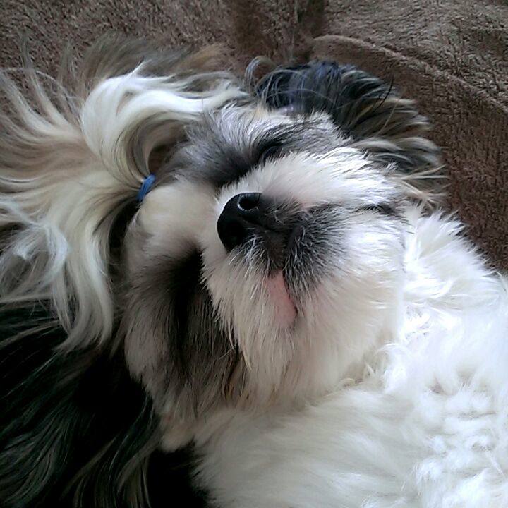 66520f9a c67c 41c4 8c2b 05aa4e1ff140