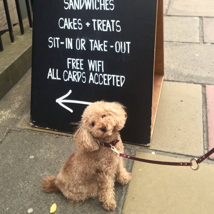 665306e2 eb14 4aae a2ad 2f8ae0804742