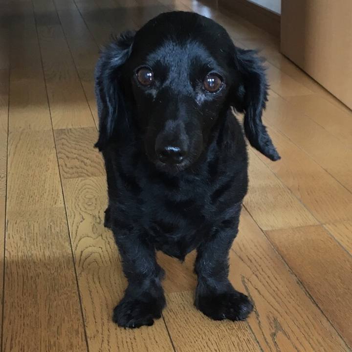 66530c27 94c9 42bc a114 e11e1d88cf1f