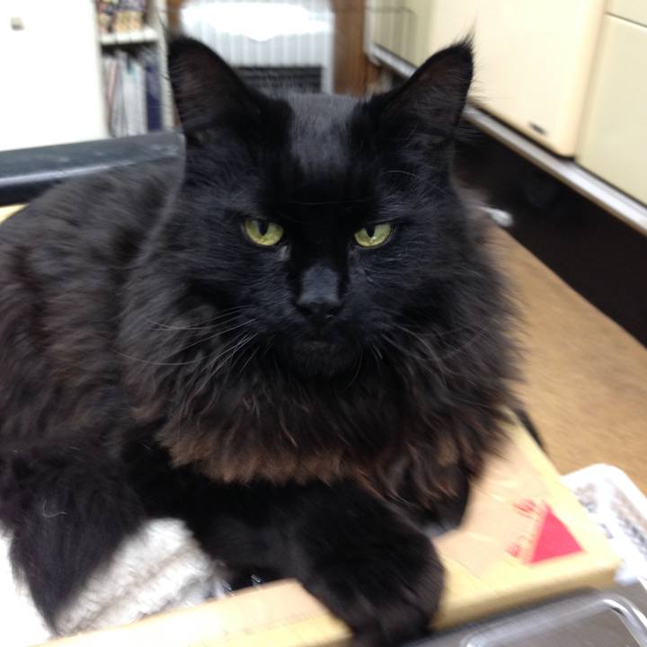 665412dc b1a6 4fea bc50 a2a1ad7aa4d7