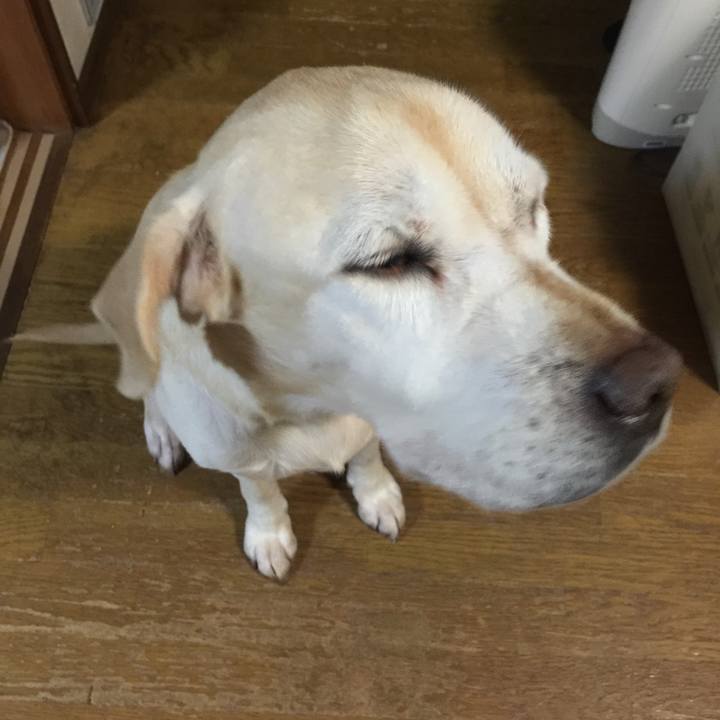 6654531c 9b43 47b5 ae23 eab22d3142ba