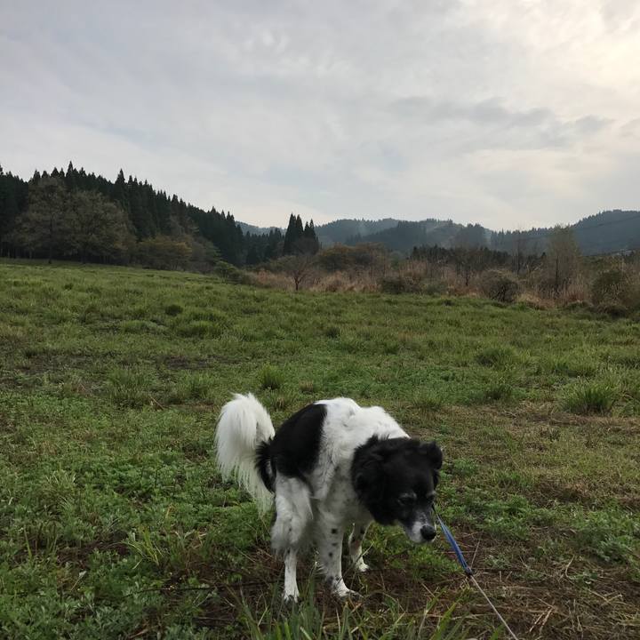 6654fb8e 557d 4958 be8d 91d813ca95b5