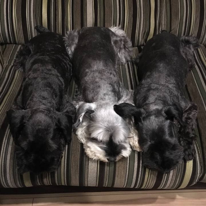 6655fc25 c244 4e49 b0cc 87450dcac727