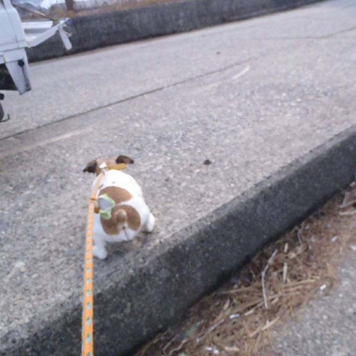 665610ba af68 4b05 90b9 6ab4ec15703e