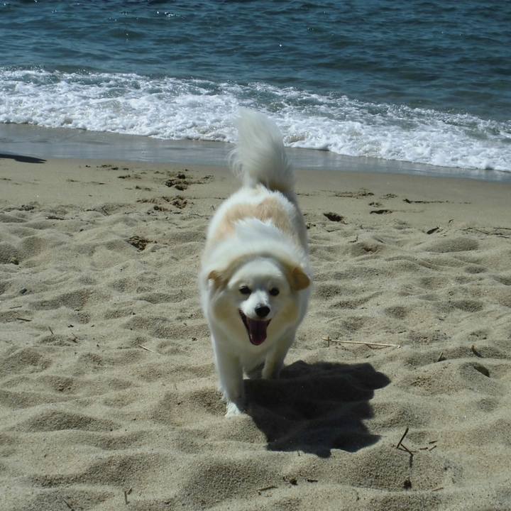 66575477 c8ce 4aae 8cdf d8e41d6ba36e