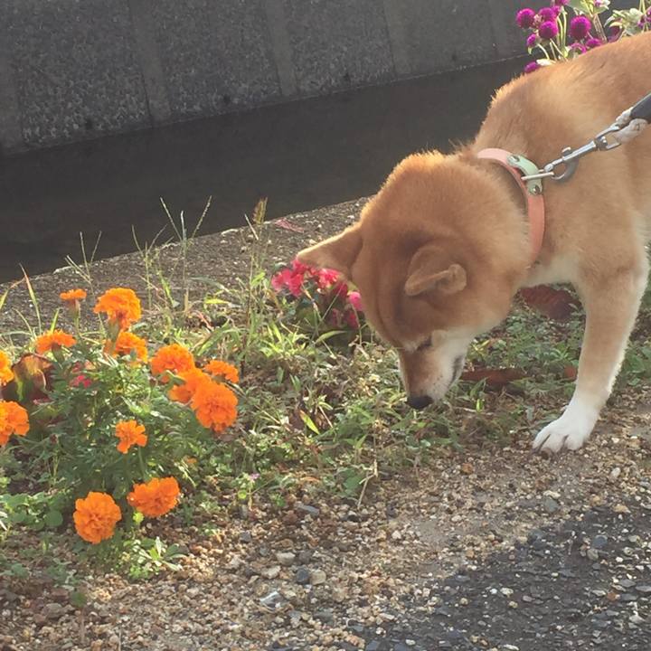 66576453 7463 4df1 9b6e 42423892af21