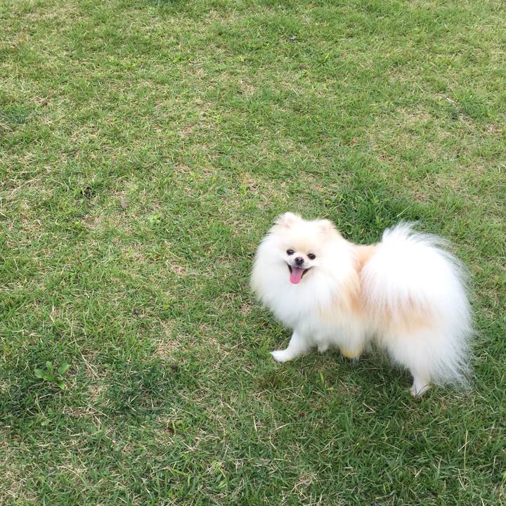 6658768e c64c 43a8 af99 8d2c9ef50f9d