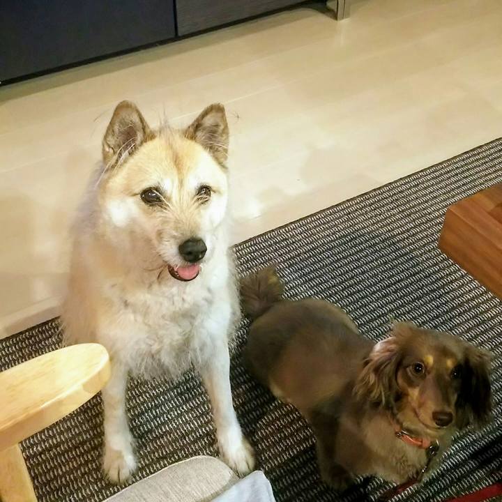 6658d18d 7dc6 4c06 b8c5 caaaa595d901