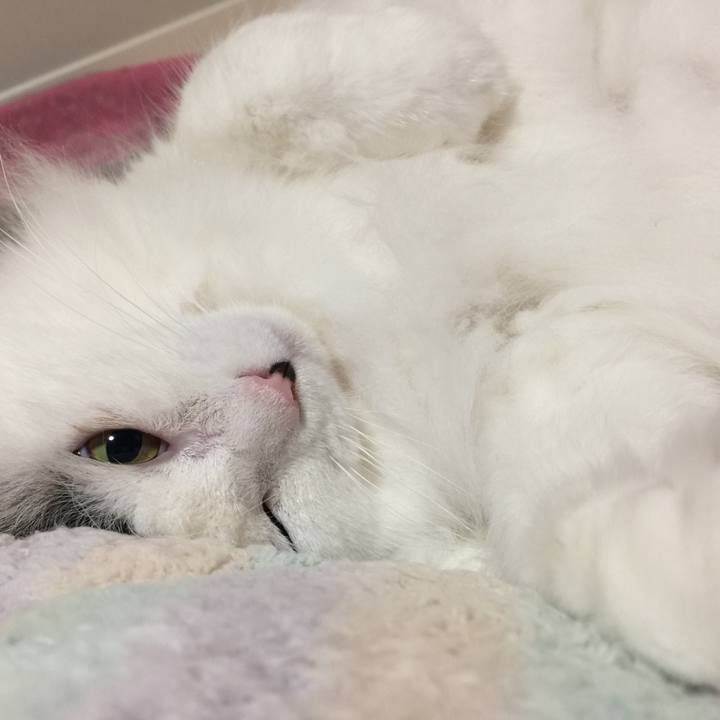 66591901 ba80 42cd a35c dad4c6f1c6f1