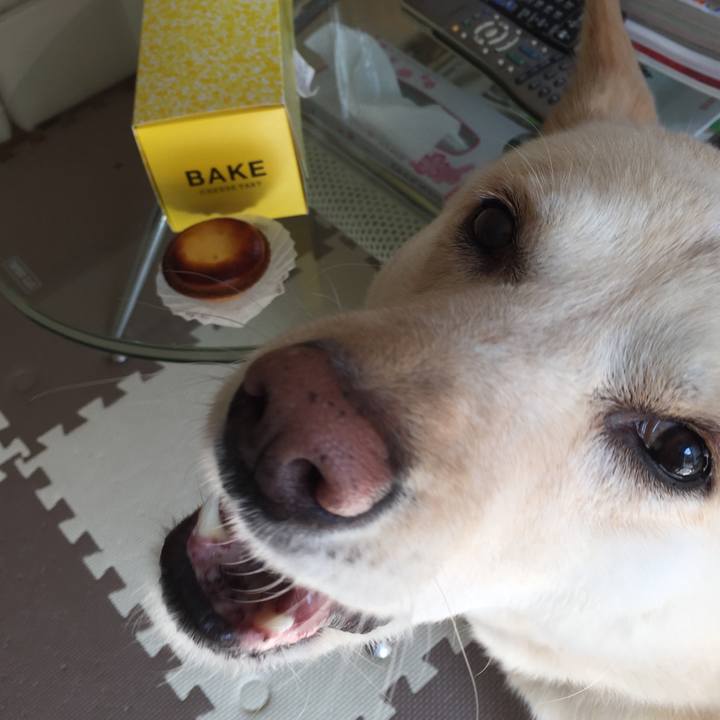 66591ddd 8af9 4e01 8827 51ee4a86f055