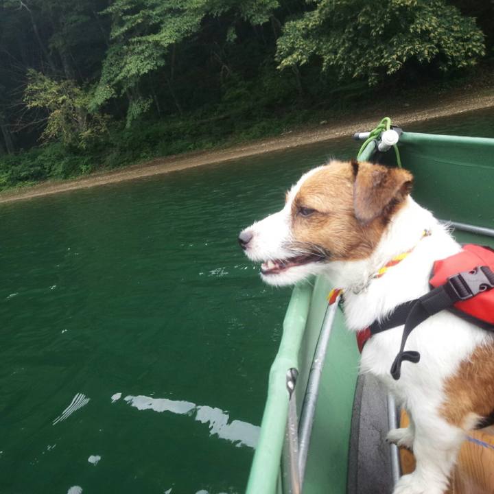 6659613d 6624 4bf5 aac0 8eb35b9d61ac