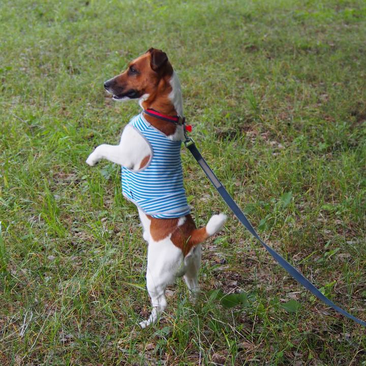 665a0fe5 681d 488b a49a 75d22b418a18