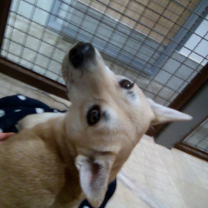 665a1f51 9f99 49e4 9832 fa45e4d8ed60