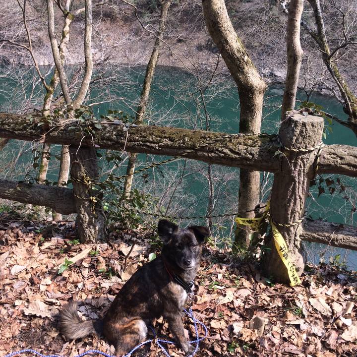 665a417c 8be9 4673 aaf3 8f2bbe96d515