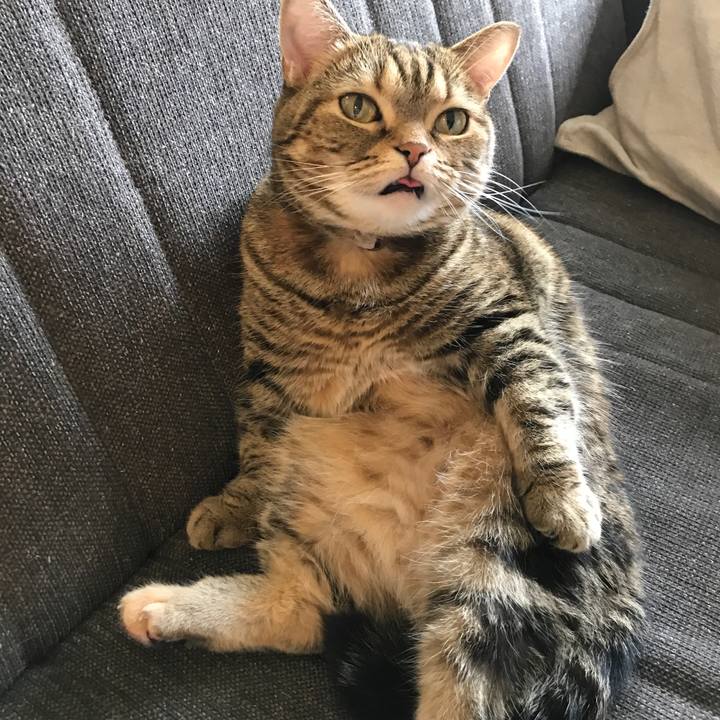 665b1c33 2f93 4514 bd15 faf601c1175d