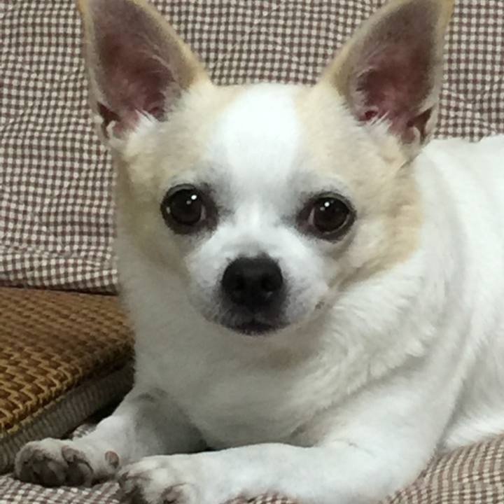 665ba7b5 88b8 4b97 a0f6 4140c0f363d5