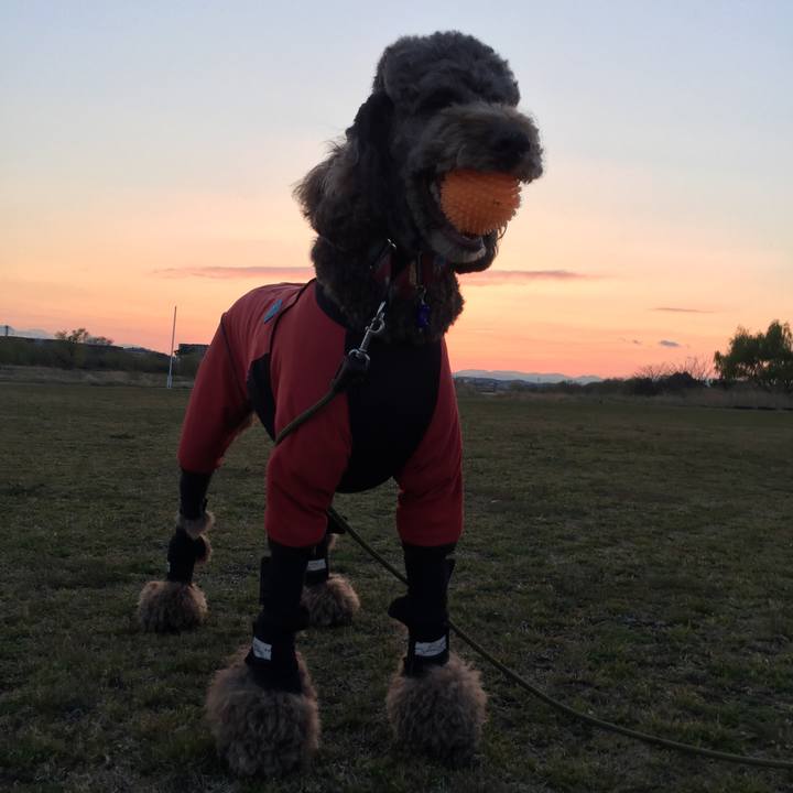 665c69c8 a787 47ea a373 0f29ec6cdb65