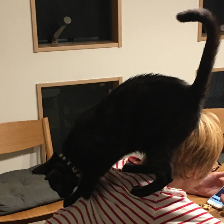 665ca2bc f7e1 4de1 9528 cb9e7223dce8