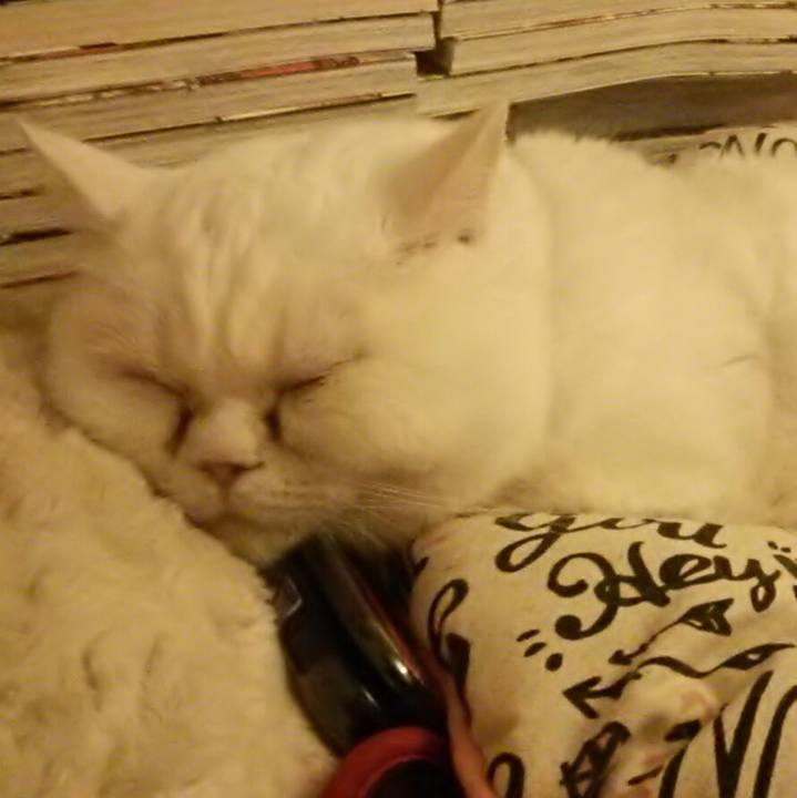 665ce667 f8ab 46b0 8dc9 097407a3f4a4