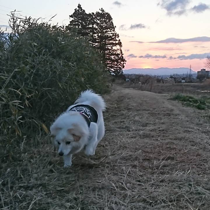 665cfb7f c795 4b6e 9a21 23e2f77b5620