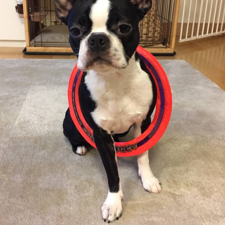 665dde69 943b 481b b8e4 007bf4682d1f