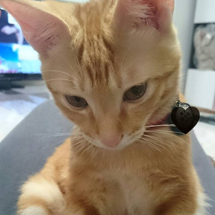 665ddf64 5d80 4463 9a16 014c9d265f67