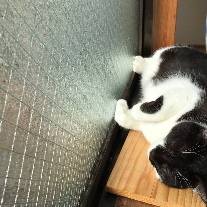 665e7aef bfa2 4e6c 8cf2 d1856d932ab1