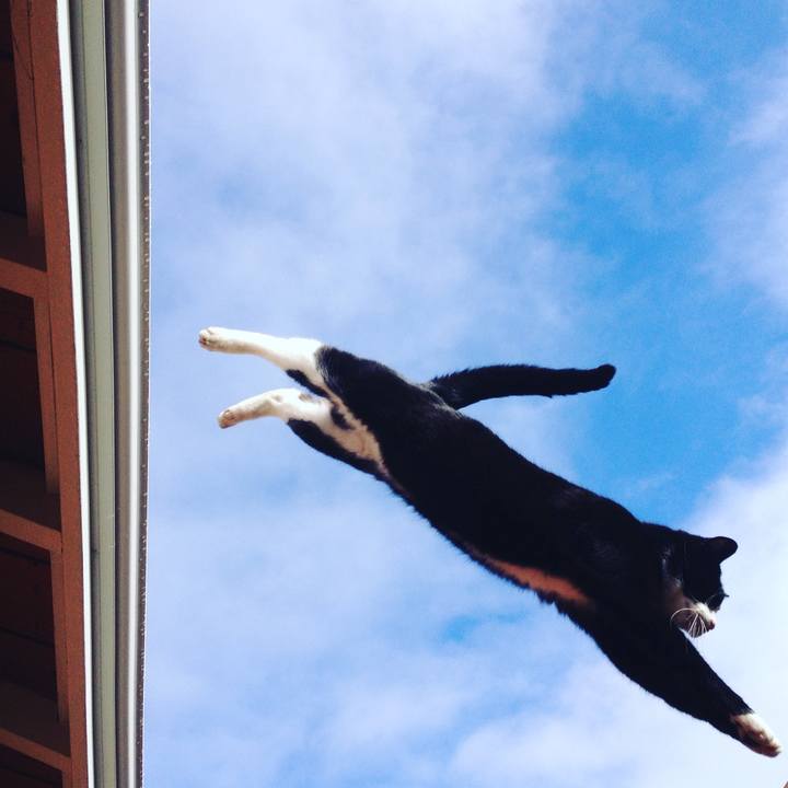 665f8c98 453e 498e 8aec 7600d3641f01