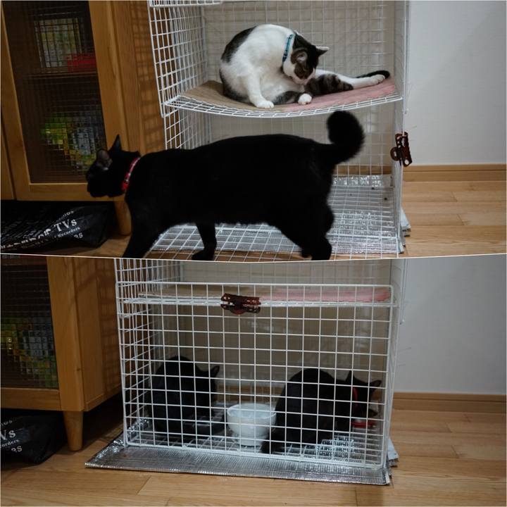 665f908e 6cf1 4fb9 96a4 b8fae271abb1