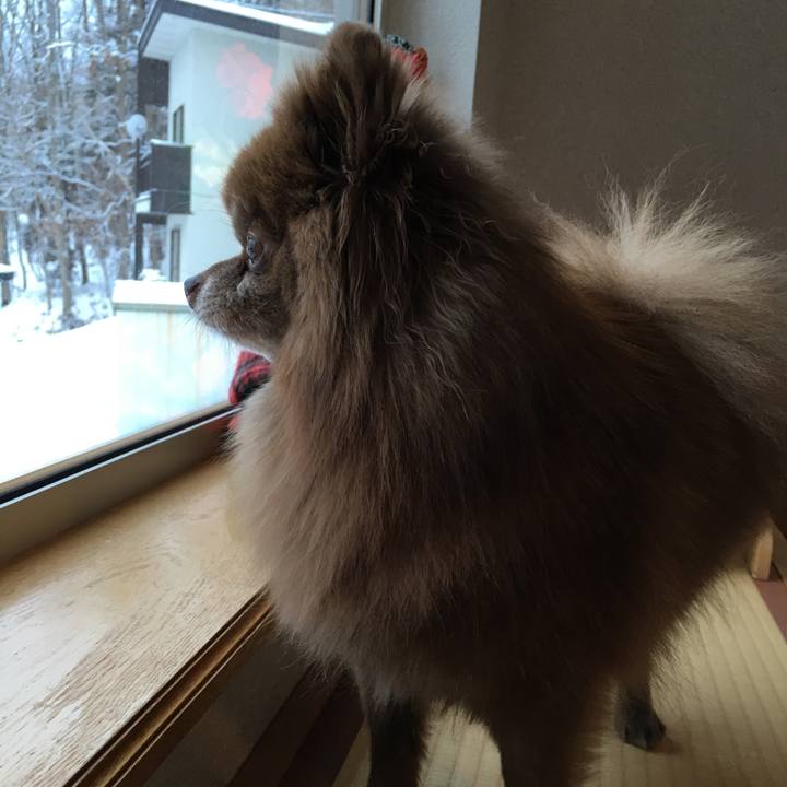 6660ee2b 9cda 4364 9810 4773e81e15f3