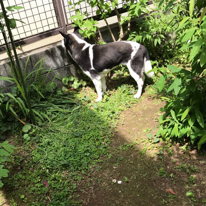 66612ada 52a0 4a50 86cc ea1a16affd32