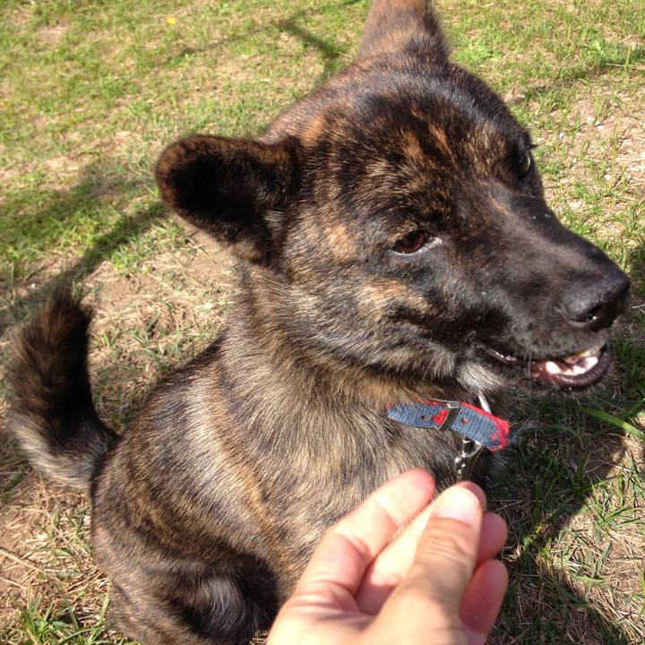 6661c712 dc0e 46b8 a347 a9655f808c64