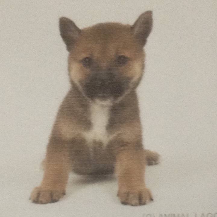 6662f857 0642 439a bee3 aba71fa4ad00