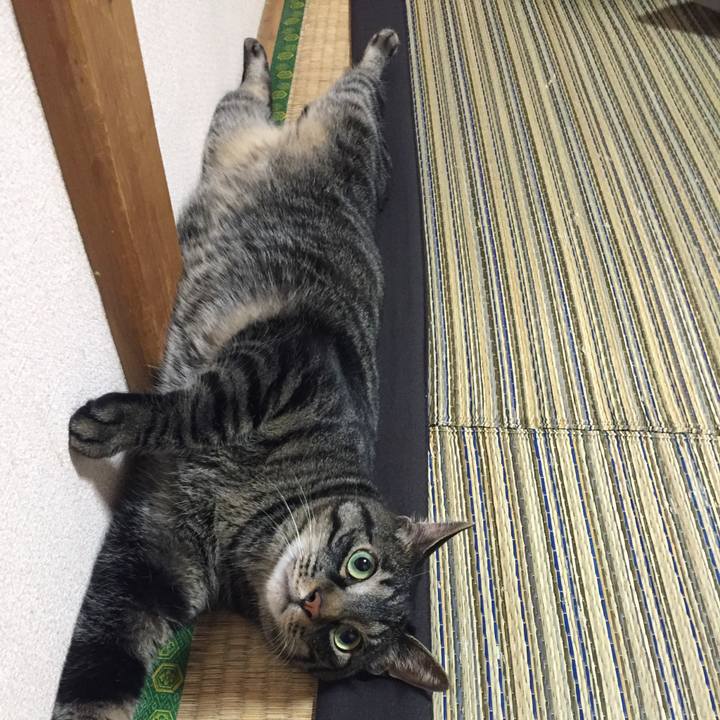 6662fce5 57e6 4c29 9c9a 306310f8a75e