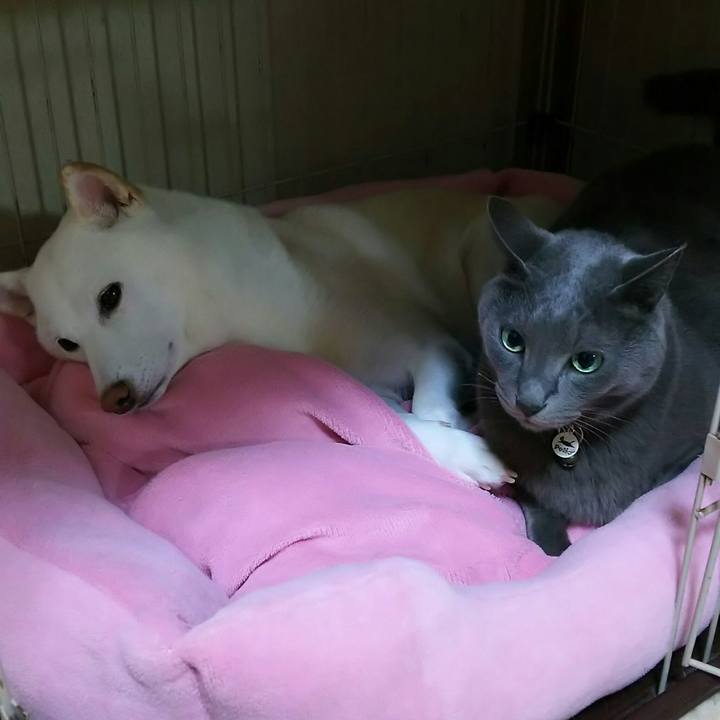 6664043a edad 44a2 bcb4 e4de444cbc2b