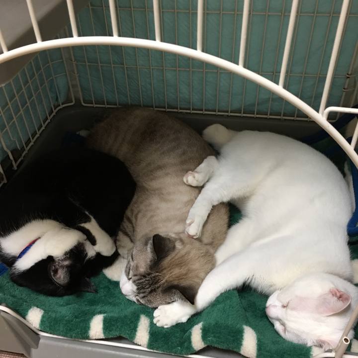 66650105 d248 4a26 9f9d 547e40a29212