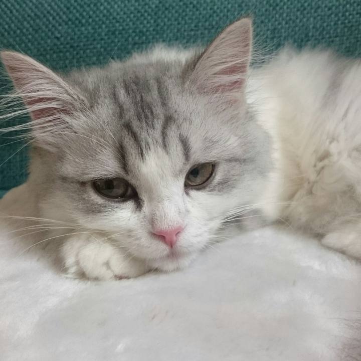 66650732 878d 4676 8272 424f7df02a6e