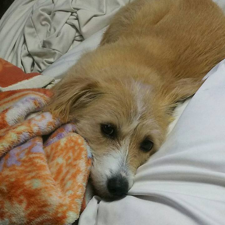 666573ee 88f6 446e 85f6 7bc6caea8eed