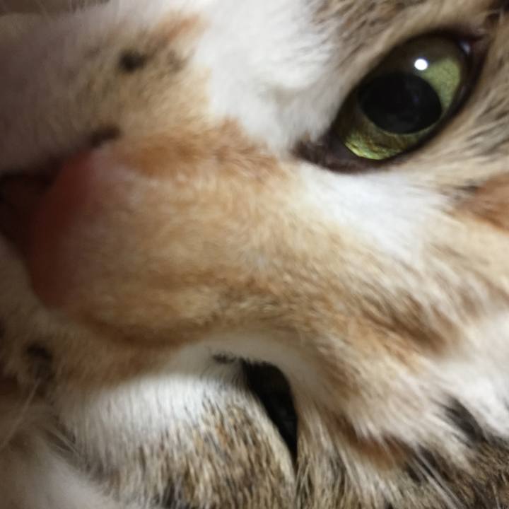 6666119d d8df 4278 b69f 8cf65d7506a4