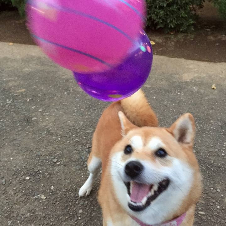 666699a8 1133 41d4 9d13 ff51555b00b7